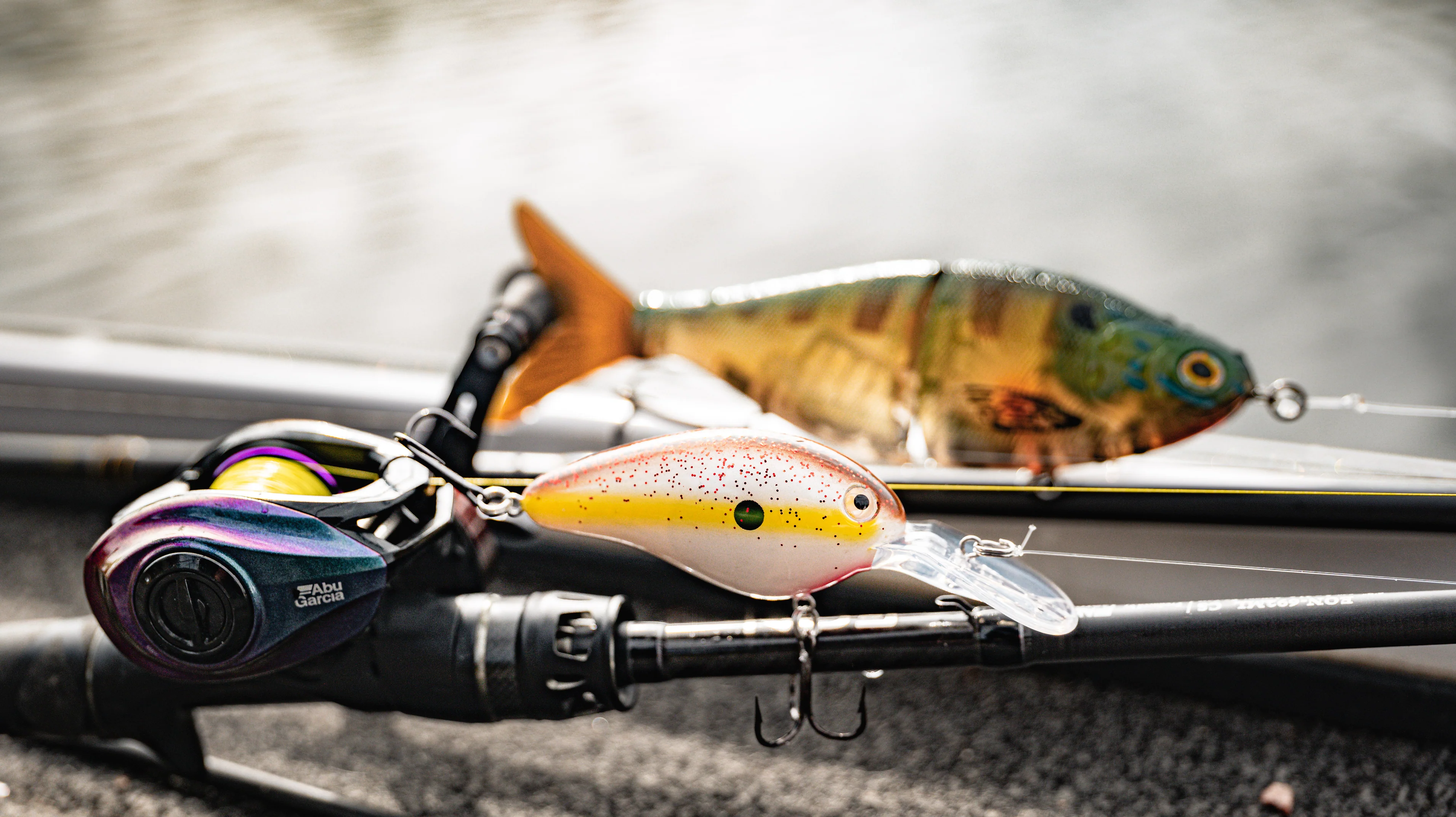 Elevate Your Everyday Style